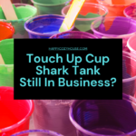 Touch Up Cup Shark Tank - What Happened?