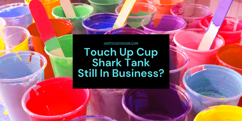 Touch Up Cup Shark Tank - What Happened?